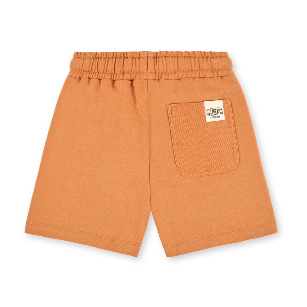 Calções bermudas castanhas de menino
