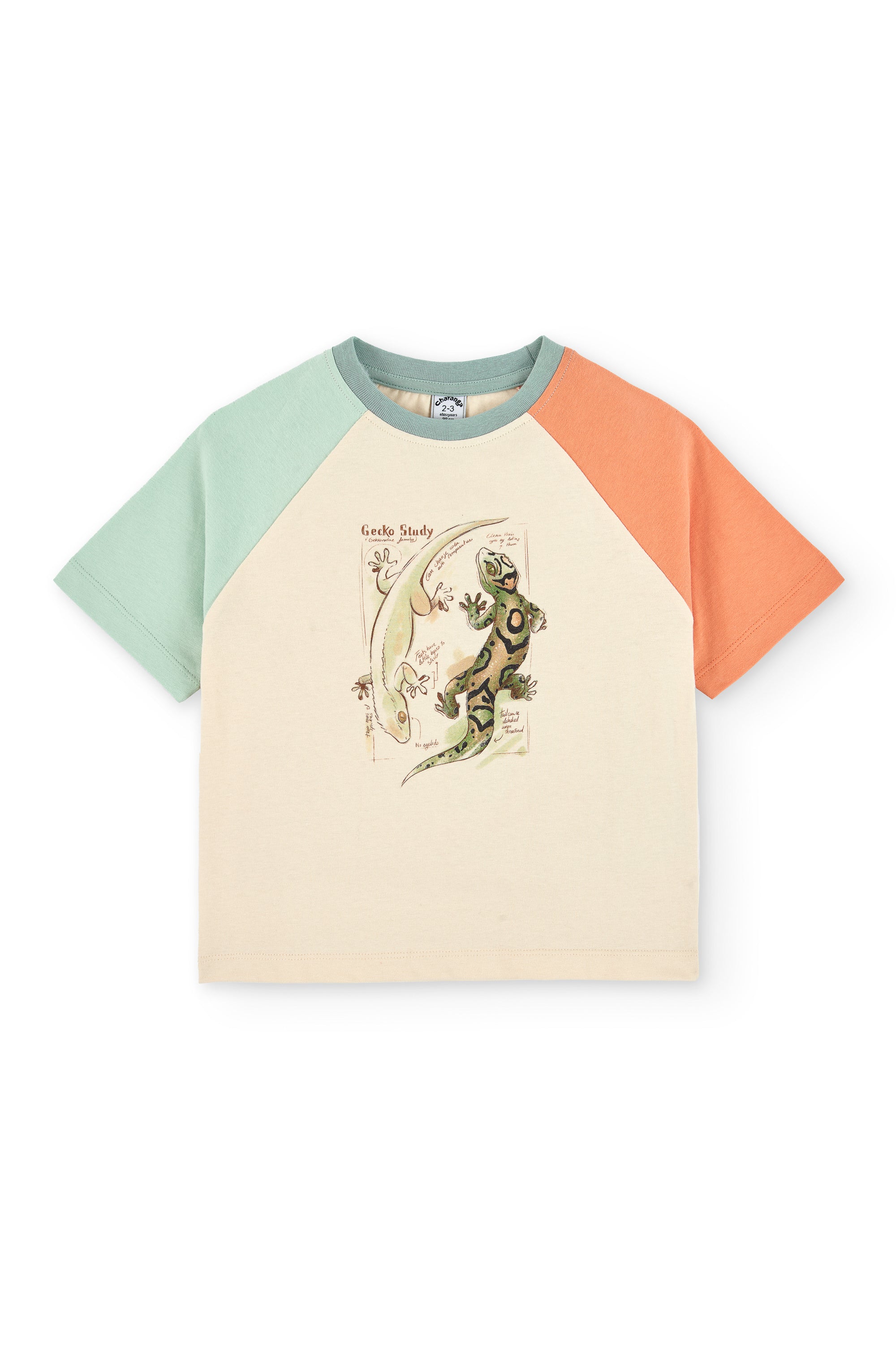 Camiseta de niño multicolor VERANO/Charanga